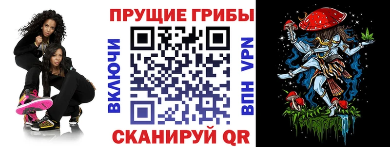 Псилоцибиновые грибы GOLDEN TEACHER  Сухиничи 